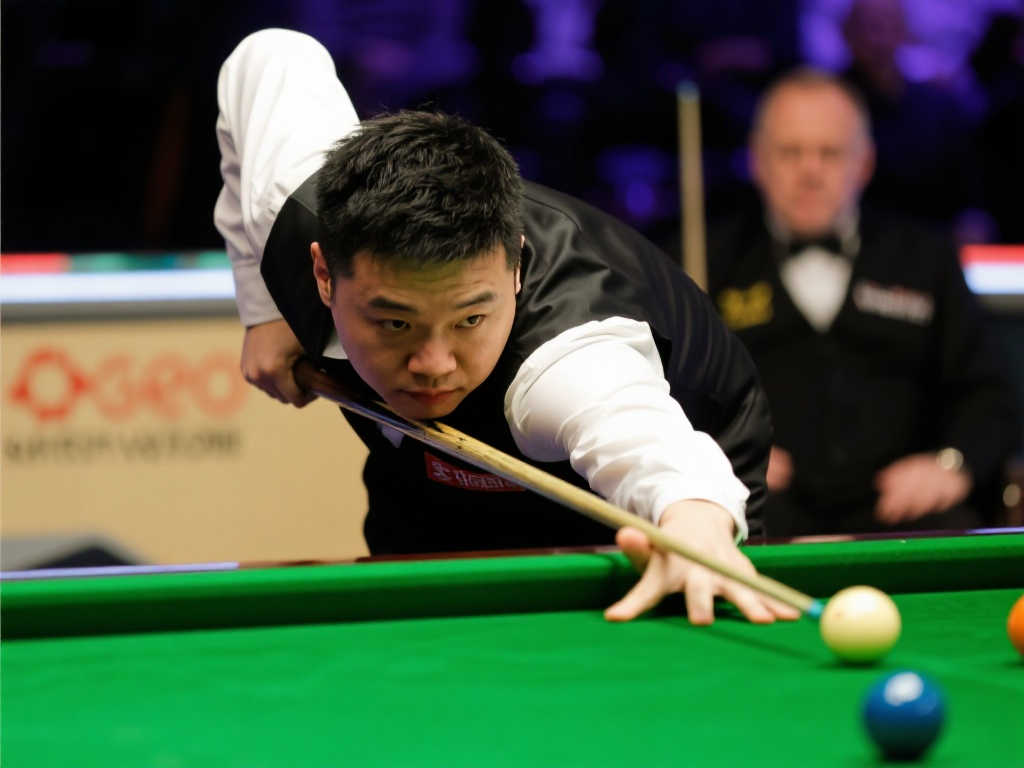 足球爱好者 足球爱好者